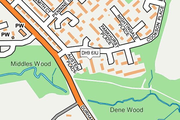 DH9 6XJ map - OS OpenMap – Local (Ordnance Survey)