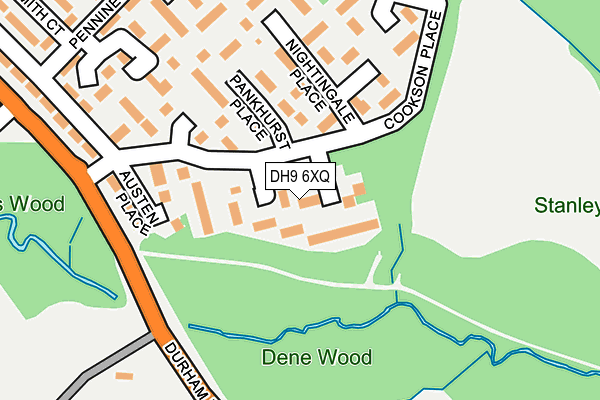 DH9 6XQ map - OS OpenMap – Local (Ordnance Survey)
