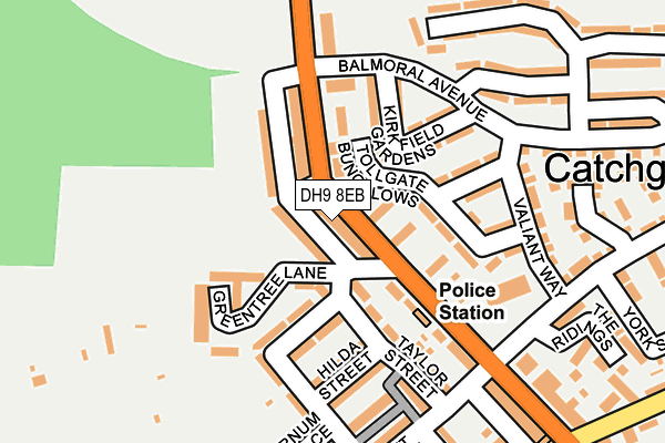 DH9 8EB map - OS OpenMap – Local (Ordnance Survey)