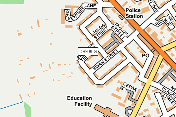 DH9 8LG map - OS OpenMap – Local (Ordnance Survey)