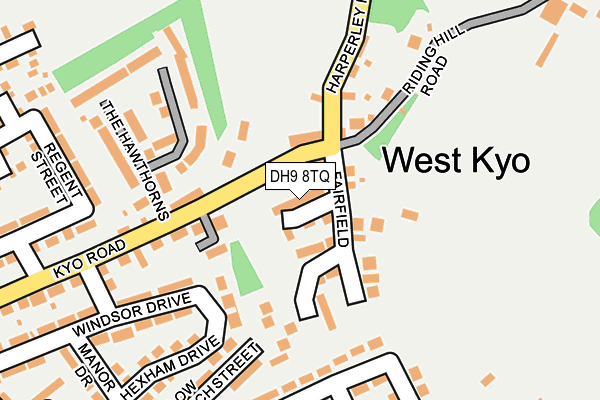 DH9 8TQ map - OS OpenMap – Local (Ordnance Survey) DH9 8TQ map - OS OpenMap – Local (Ordnance Survey)
