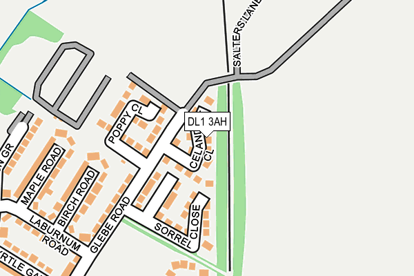DL1 3AH map - OS OpenMap – Local (Ordnance Survey) DL1 3AH map - OS OpenMap – Local (Ordnance Survey)