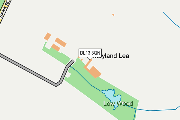 DL13 3QN map - OS OpenMap – Local (Ordnance Survey) DL13 3QN map - OS OpenMap – Local (Ordnance Survey)