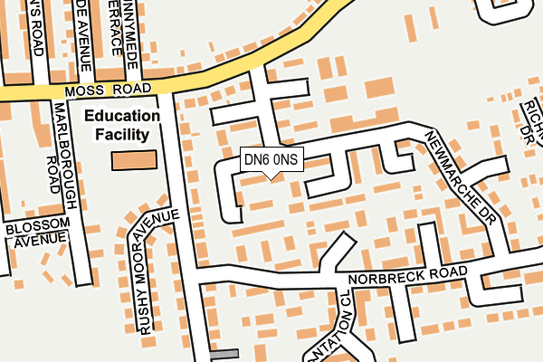 DN6 0NS map - OS OpenMap – Local (Ordnance Survey) DN6 0NS map - OS OpenMap – Local (Ordnance Survey)