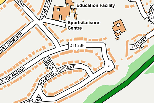 DT1 2BH map - OS OpenMap – Local (Ordnance Survey) DT1 2BH map - OS OpenMap – Local (Ordnance Survey)