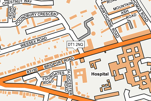 DT1 2NQ map - OS OpenMap – Local (Ordnance Survey) DT1 2NQ map - OS OpenMap – Local (Ordnance Survey)