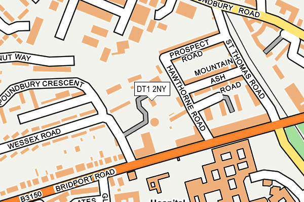 DT1 2NY map - OS OpenMap – Local (Ordnance Survey) DT1 2NY map - OS OpenMap – Local (Ordnance Survey)