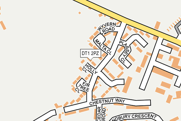 DT1 2PZ map - OS OpenMap – Local (Ordnance Survey) DT1 2PZ map - OS OpenMap – Local (Ordnance Survey)