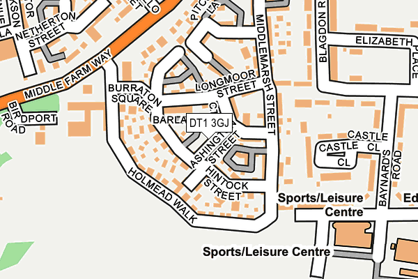 DT1 3GJ map - OS OpenMap – Local (Ordnance Survey) DT1 3GJ map - OS OpenMap – Local (Ordnance Survey)
