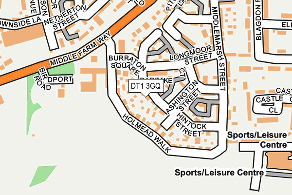 DT1 3GQ map - OS OpenMap – Local (Ordnance Survey) DT1 3GQ map - OS OpenMap – Local (Ordnance Survey)