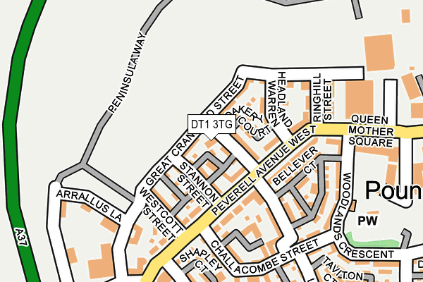 DT1 3TG map - OS OpenMap – Local (Ordnance Survey) DT1 3TG map - OS OpenMap – Local (Ordnance Survey)
