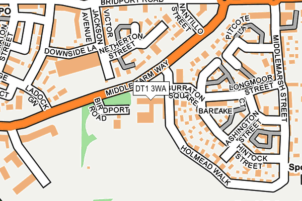 DT1 3WA map - OS OpenMap – Local (Ordnance Survey) DT1 3WA map - OS OpenMap – Local (Ordnance Survey)