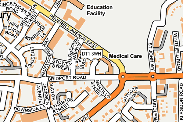 DT1 3WH map - OS OpenMap – Local (Ordnance Survey) DT1 3WH map - OS OpenMap – Local (Ordnance Survey)