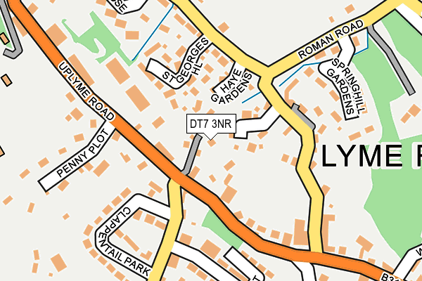 DT7 3NR map - OS OpenMap – Local (Ordnance Survey) DT7 3NR map - OS OpenMap – Local (Ordnance Survey)