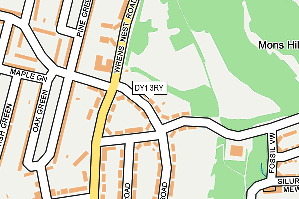 DY1 3RY map - OS OpenMap – Local (Ordnance Survey) DY1 3RY map - OS OpenMap – Local (Ordnance Survey)
