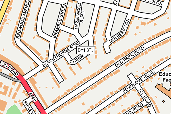DY1 3TJ map - OS OpenMap – Local (Ordnance Survey) DY1 3TJ map - OS OpenMap – Local (Ordnance Survey)