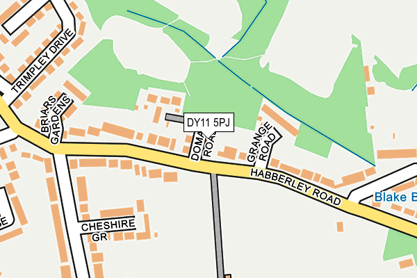 DY11 5PJ map - OS OpenMap – Local (Ordnance Survey)