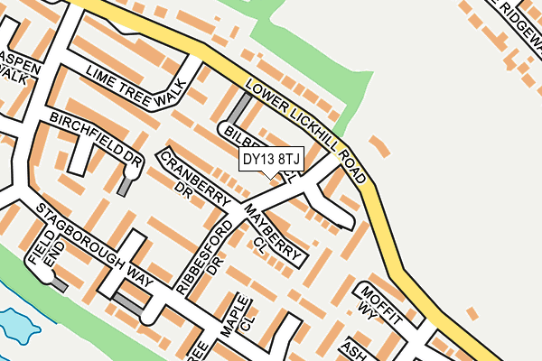 DY13 8TJ map - OS OpenMap – Local (Ordnance Survey) DY13 8TJ map - OS OpenMap – Local (Ordnance Survey)