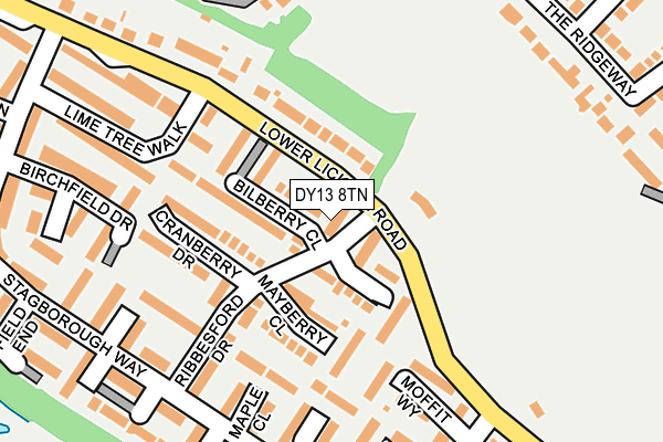 DY13 8TN map - OS OpenMap – Local (Ordnance Survey) DY13 8TN map - OS OpenMap – Local (Ordnance Survey)