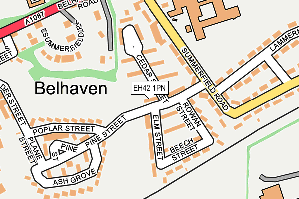 EH42 1PN map - OS OpenMap – Local (Ordnance Survey) EH42 1PN map - OS OpenMap – Local (Ordnance Survey)