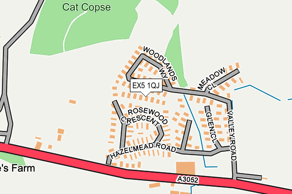 EX5 1QJ map - OS OpenMap – Local (Ordnance Survey) EX5 1QJ map - OS OpenMap – Local (Ordnance Survey)
