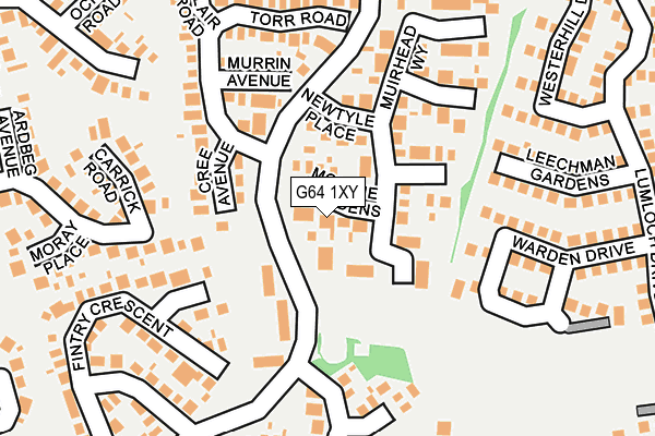 G64 1XY map - OS OpenMap – Local (Ordnance Survey)