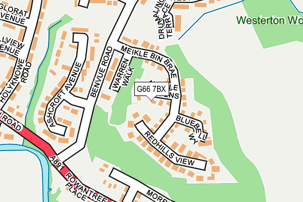 G66 7BX map - OS OpenMap – Local (Ordnance Survey)