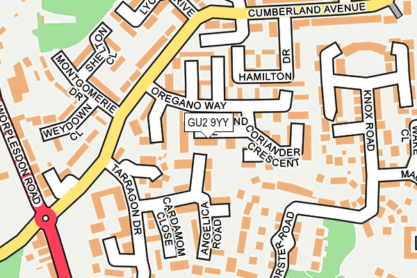 GU2 9YY map - OS OpenMap – Local (Ordnance Survey) GU2 9YY map - OS OpenMap – Local (Ordnance Survey)