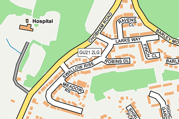 GU21 2LG map - OS OpenMap – Local (Ordnance Survey) GU21 2LG map - OS OpenMap – Local (Ordnance Survey)