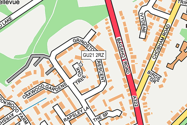 GU21 2RZ map - OS OpenMap – Local (Ordnance Survey) GU21 2RZ map - OS OpenMap – Local (Ordnance Survey)