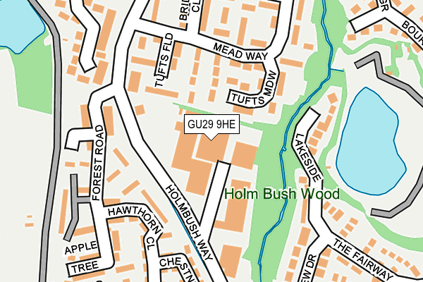 GU29 9HE map - OS OpenMap – Local (Ordnance Survey) GU29 9HE map - OS OpenMap – Local (Ordnance Survey)