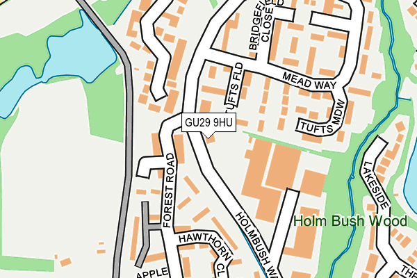 GU29 9HU map - OS OpenMap – Local (Ordnance Survey) GU29 9HU map - OS OpenMap – Local (Ordnance Survey)