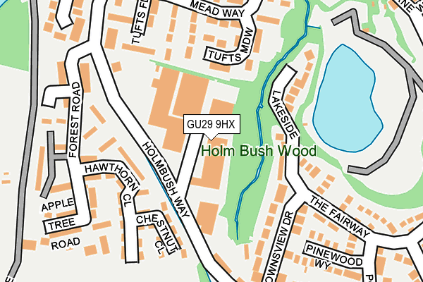GU29 9HX map - OS OpenMap – Local (Ordnance Survey) GU29 9HX map - OS OpenMap – Local (Ordnance Survey)