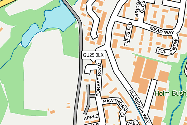 GU29 9LX map - OS OpenMap – Local (Ordnance Survey) GU29 9LX map - OS OpenMap – Local (Ordnance Survey)