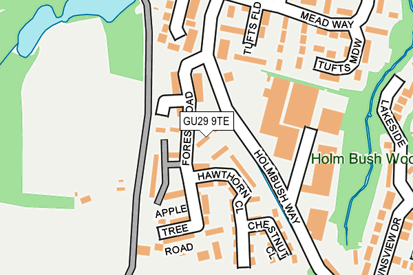 GU29 9TE map - OS OpenMap – Local (Ordnance Survey) GU29 9TE map - OS OpenMap – Local (Ordnance Survey)