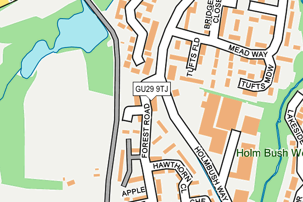 GU29 9TJ map - OS OpenMap – Local (Ordnance Survey) GU29 9TJ map - OS OpenMap – Local (Ordnance Survey)