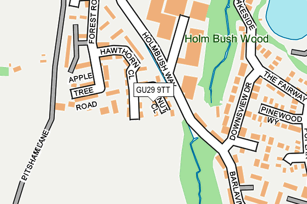GU29 9TT map - OS OpenMap – Local (Ordnance Survey) GU29 9TT map - OS OpenMap – Local (Ordnance Survey)