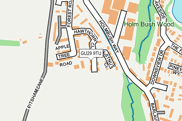 GU29 9TU map - OS OpenMap – Local (Ordnance Survey) GU29 9TU map - OS OpenMap – Local (Ordnance Survey)