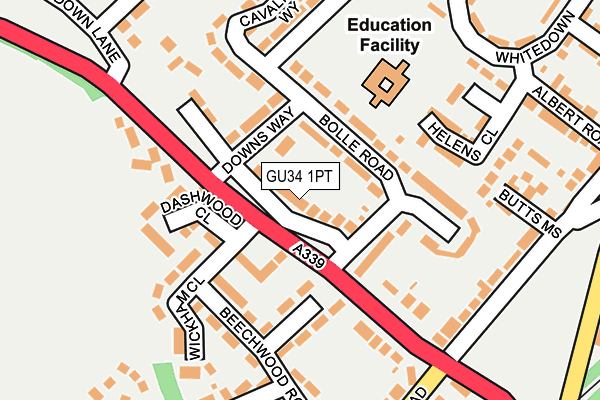 GU34 1PT map - OS OpenMap – Local (Ordnance Survey) GU34 1PT map - OS OpenMap – Local (Ordnance Survey)