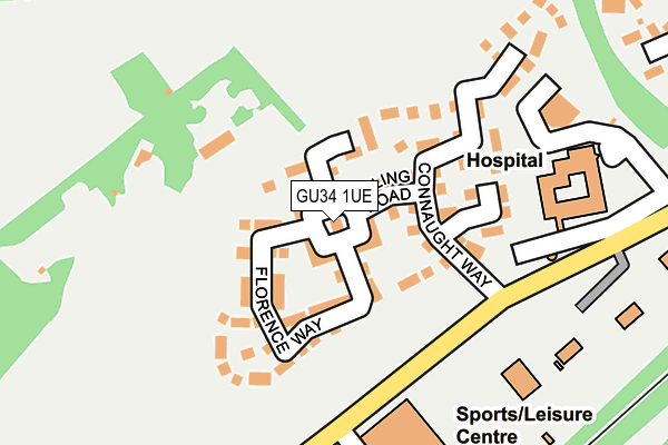 GU34 1UE map - OS OpenMap – Local (Ordnance Survey) GU34 1UE map - OS OpenMap – Local (Ordnance Survey)