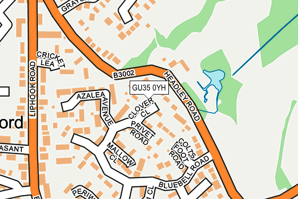 GU35 0YH map - OS OpenMap – Local (Ordnance Survey) GU35 0YH map - OS OpenMap – Local (Ordnance Survey)