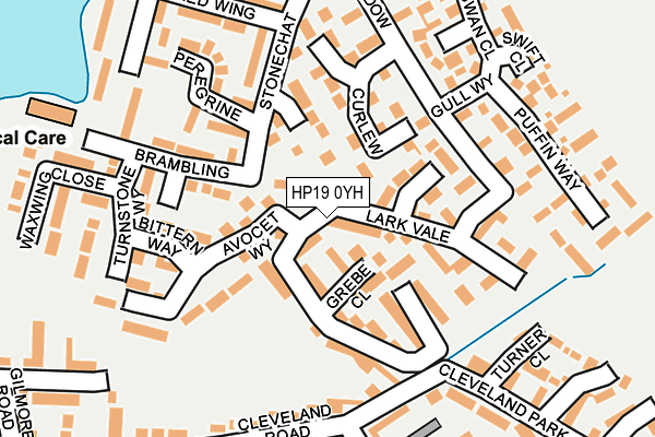 HP19 0YH map - OS OpenMap – Local (Ordnance Survey)