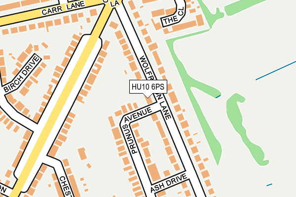 HU10 6PS map - OS OpenMap – Local (Ordnance Survey)