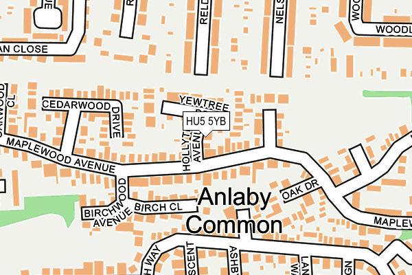 HU5 5YB map - OS OpenMap – Local (Ordnance Survey) HU5 5YB map - OS OpenMap – Local (Ordnance Survey)