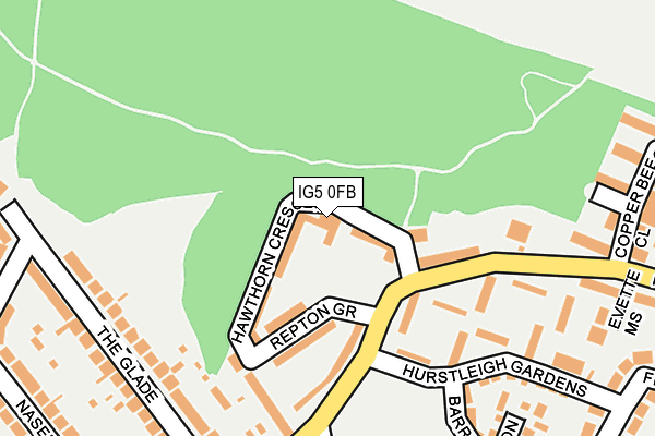 IG5 0FB map - OS OpenMap – Local (Ordnance Survey) IG5 0FB map - OS OpenMap – Local (Ordnance Survey)