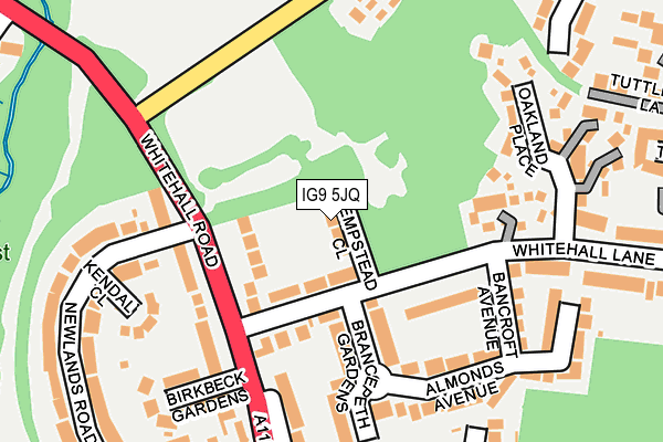 IG9 5JQ map - OS OpenMap – Local (Ordnance Survey) IG9 5JQ map - OS OpenMap – Local (Ordnance Survey)