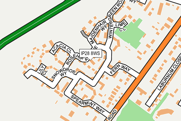IP28 8WS map - OS OpenMap – Local (Ordnance Survey) IP28 8WS map - OS OpenMap – Local (Ordnance Survey)