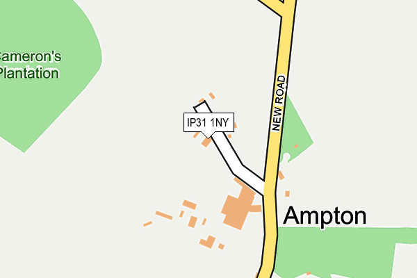 IP31 1NY map - OS OpenMap – Local (Ordnance Survey) IP31 1NY map - OS OpenMap – Local (Ordnance Survey)