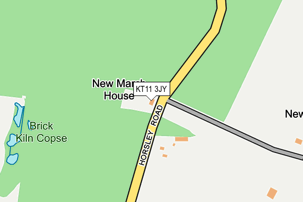 KT11 3JY map - OS OpenMap – Local (Ordnance Survey) KT11 3JY map - OS OpenMap – Local (Ordnance Survey)