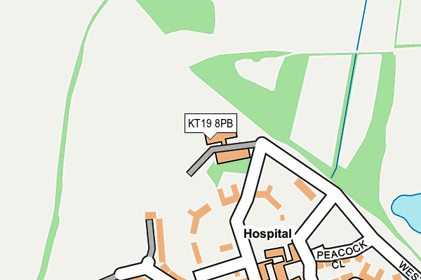 KT19 8PB map - OS OpenMap – Local (Ordnance Survey) KT19 8PB map - OS OpenMap – Local (Ordnance Survey)